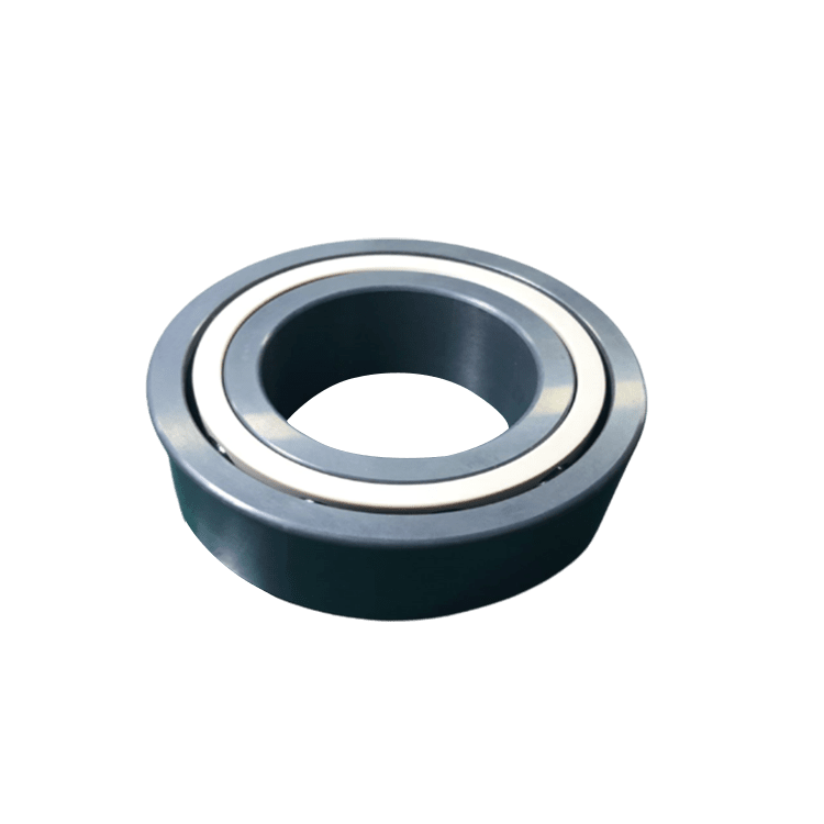 Si3n4 Double Row Angular Contact Ball Bearing