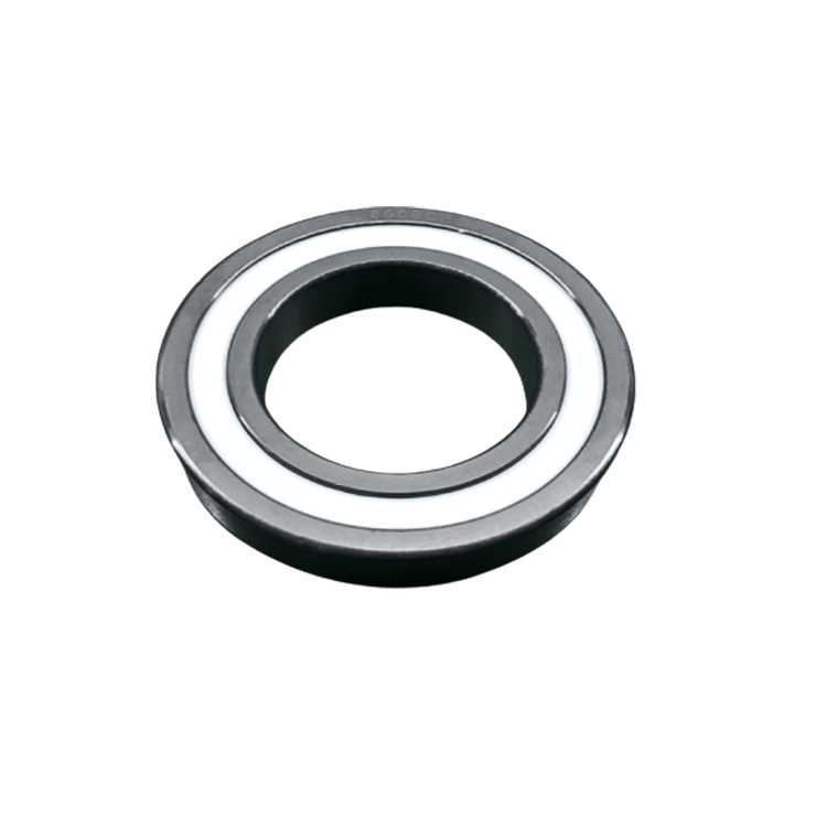SSiC Deep Groove Ball Bearing With Ptfe Cage