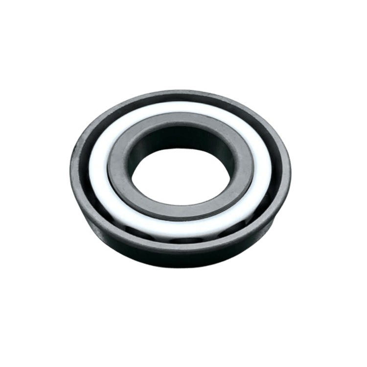 SSiC Angular Contact Ball Bearing