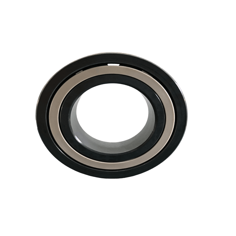 SSiC Double Row Deep Groove Ball Bearing